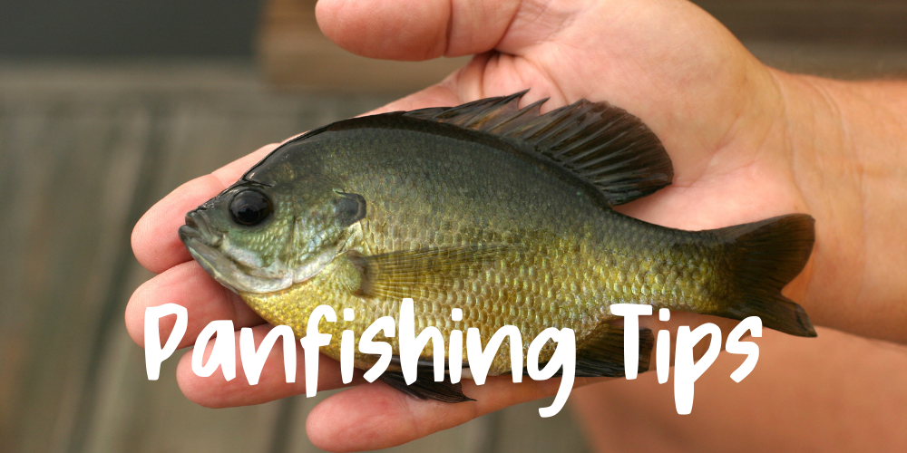 Panfishing Tips 