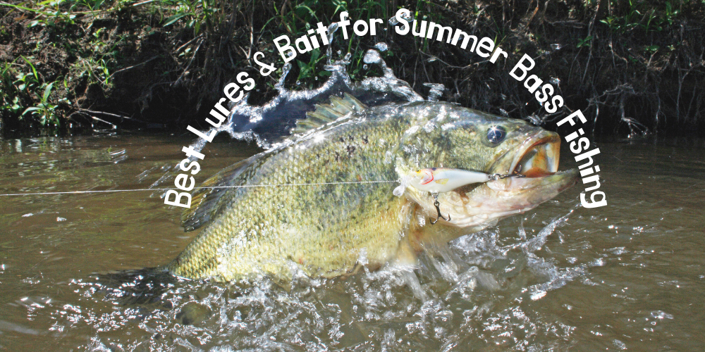 Best Lures & Bait for Summer Bass Fishing 