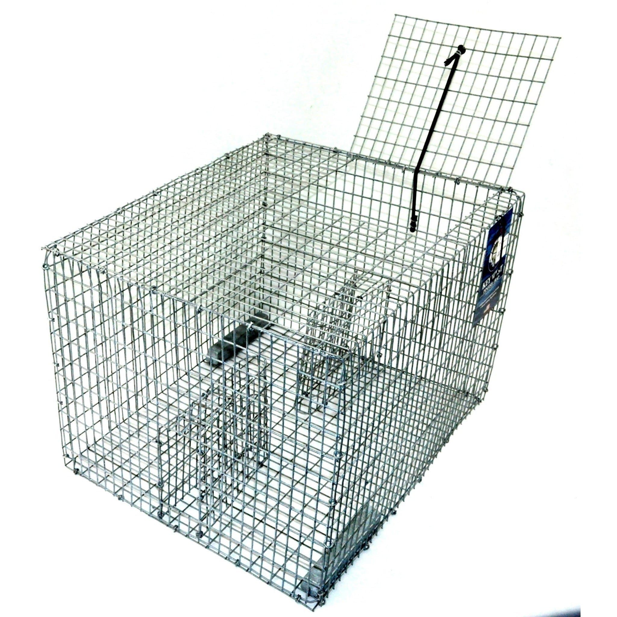bluegill fish traps