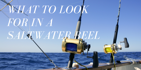 can i use a saltwater reel in freshwater Diwa Spinning Fishing Reels for 1000 2000 3000 4000 5000 6000 Series Fishing Spool Left/Right Interchangeable Trout Carp Spinning Light and Smooth (1000-Black) : Sports & Outdoors Took a Freshwater Reel Saltwater