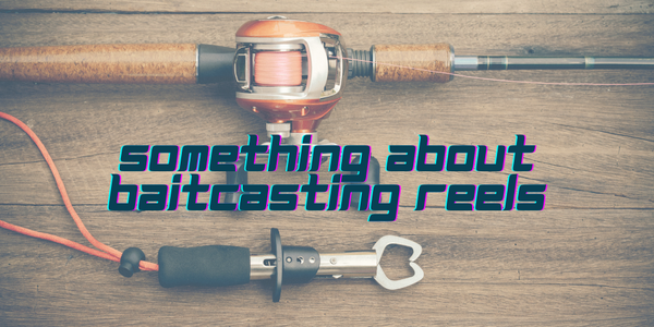 BAITCASTING REELS 2018: Best Picks and Tips - Justforfishing.com