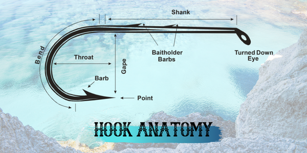 The Hook's Law: The ultimate guide to selecting the best hook - Justforfishing.com