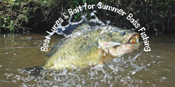 Best Lures & Bait for Summer Bass Fishing - Justforfishing.com