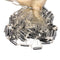 Bait Buster Cast Nets Bait Buster White Cast Net - 1-1/4" Sq. Mullet Mesh (1.5lb/ft) - No Dragon Head