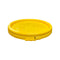 Justforfishing.com 5 Gallon Outdoor Metal Handle Bucket with Lid, Yellow Color