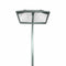 Justforfishing.com Joy Fish Sand Flea Rake